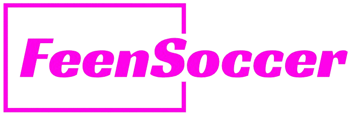 feen-logo-1